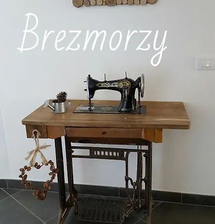 Brezmorzy